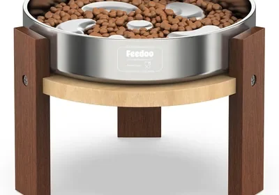 Feedoo Elevated Dog Bowl Stand, 6 Inch Height for Small & Medium Dogs, Slow Feeder in Singapore
