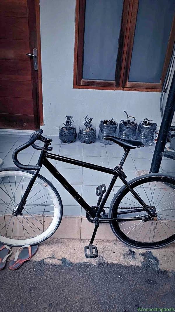 Fixie full bike, siap goes