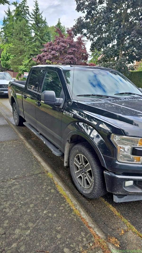 Ford F-150 pickup truck