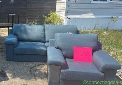 Free Love Seat & Chair in Edmonton
