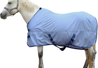 Free ad: Gallopoff Horse Fly Sheet - Best Deal in Canada. Gallopoff Horse Fly Sheet - Best Deal in Canada