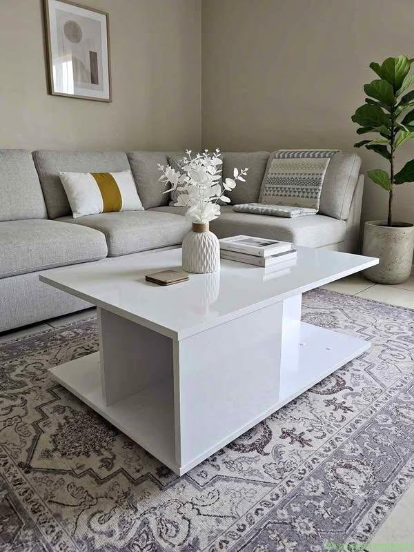 GRAND VIDE-APPARTEMENT AVANT DÉMÉNAGEMENT