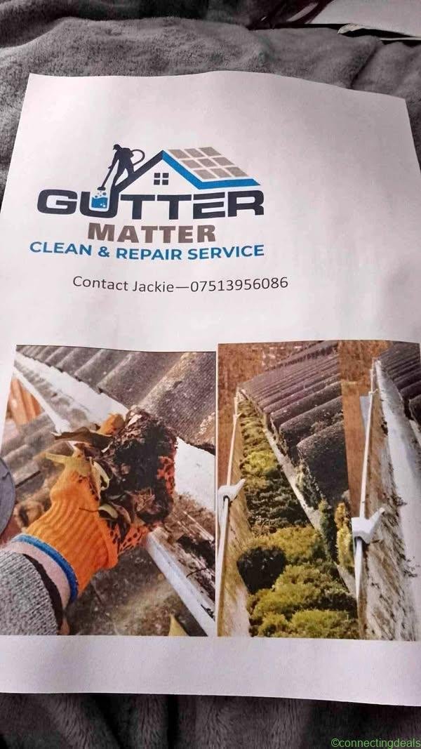 Gutter cleaning service and repairs
