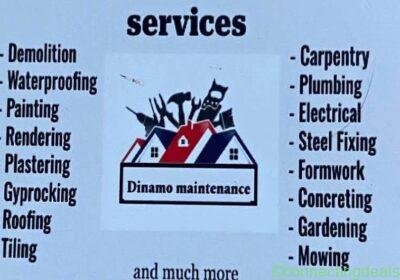 Handyman in Sydney