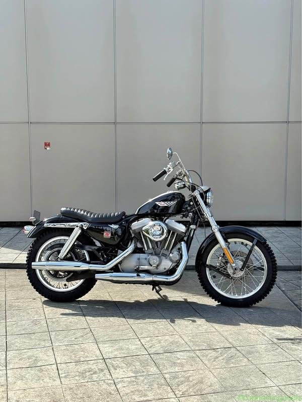 Harley Davidson Sportster XL883