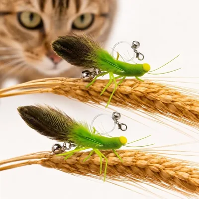 Holycat 昆虫形猫おもちゃ 自然羽根 単体プレイ（交換用ヘッド2個付） Best Deal
