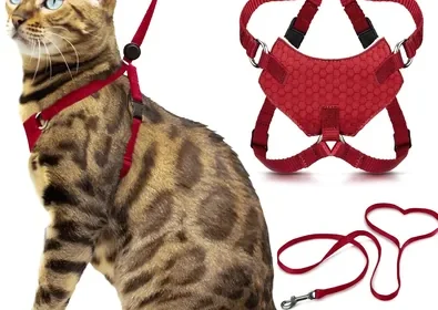 Free ad: Houdini™ Escape Proof Cat Harness & Lead Set - Red in Singapore. Houdini™ Escape Proof Cat Harness & Lead Set - Red in Singapore