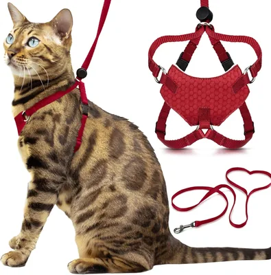 Houdini™ Escape Proof Cat Harness & Lead Set – Red