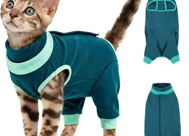 Free ad: IECOii 猫用後手術服、呼吸性、柔らかく調整可能、リシング防止、ひっかき防止、JPY 239,924.00 in Japan. IECOii 猫用後手術服、呼吸性、柔らかく調整可能、リシング防止、ひっかき防止、JPY 239,924.00 in Japan