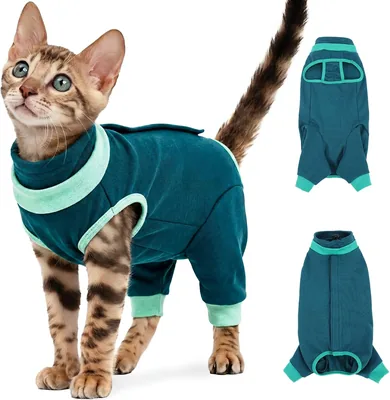 IECOii 猫用後手術服、呼吸性、柔らかく調整可能、リシング防止、ひっかき防止、JPY 239,924.00