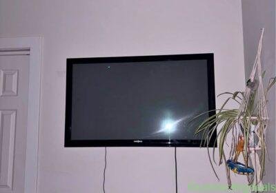 Free ad: Insignia TV in New York. Insignia TV in New York
