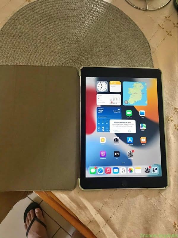 iPad Air