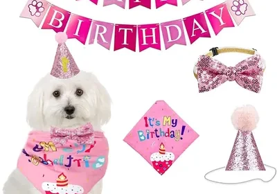Free ad: JIAQCN 5 Piezas Cumpleaños Perro, Conjunto Fiesta Completo para Mascotas Pequeñas y Medianas, Disfraces Divertidos para Celebrar in Mexico. JIAQCN 5 Piezas Cumpleaños Perro, Conjunto Fiesta Completo para Mascotas Pequeñas y Medianas, Disfraces Divertidos para Celebrar in Mexico