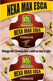 Free ad: KB Nexus Ants Bait 2x10g - Miglior Affare in Italy. KB Nexus Ants Bait 2x10g - Miglior Affare in Italy