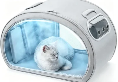 Free ad: Kennel chat Pecute rafraîchissant | Cabine anti-onde de chaleur avec blocs de glace et tapis en gel | Design transparent et structure robuste in France. Kennel chat Pecute rafraîchissant | Cabine anti-onde de chaleur avec blocs de glace et tapis en gel | Design transparent et structure robuste in France