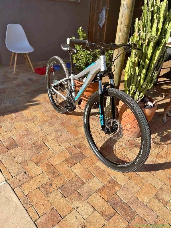 Ladies 29″ bike