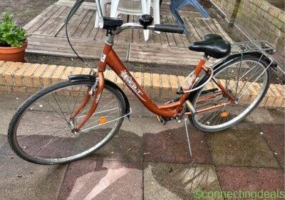 Ladies bike in Berlin