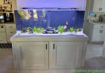 Free ad: Large aquarium with stand in Porto. Large aquarium with stand in Porto