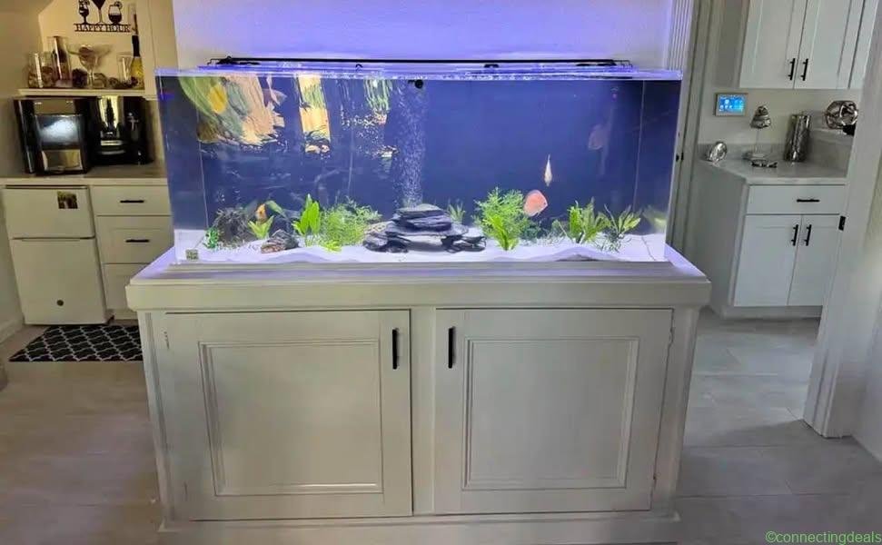 Large aquarium with stand