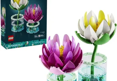 LEGO® Botanicals Water Lilies 11511 - Best Deal in Singapore