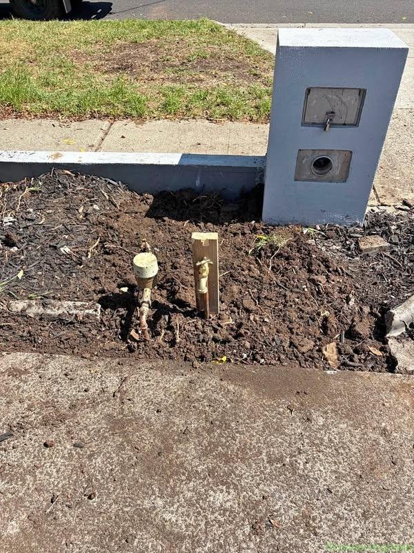 Local plumber