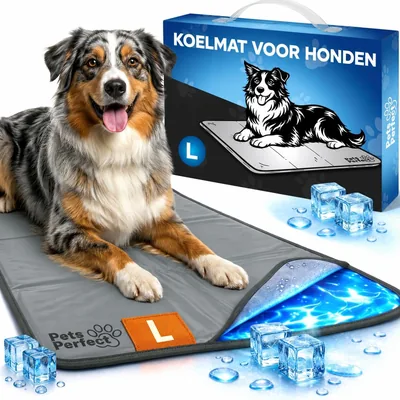 Mat de refroidissement pour chien Pets Perfect (L 50 x 90 cm) – Meilleures affaires
