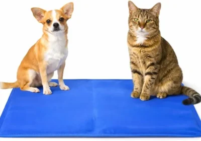 Free ad: Mat per Cani e Gatti Generico con Raffreddamento, 40 x 50 cm, Rivestimento Impermeabile, Ideale per l'Estate in Italy. Mat per Cani e Gatti Generico con Raffreddamento, 40 x 50 cm, Rivestimento Impermeabile, Ideale per l'Estate in Italy
