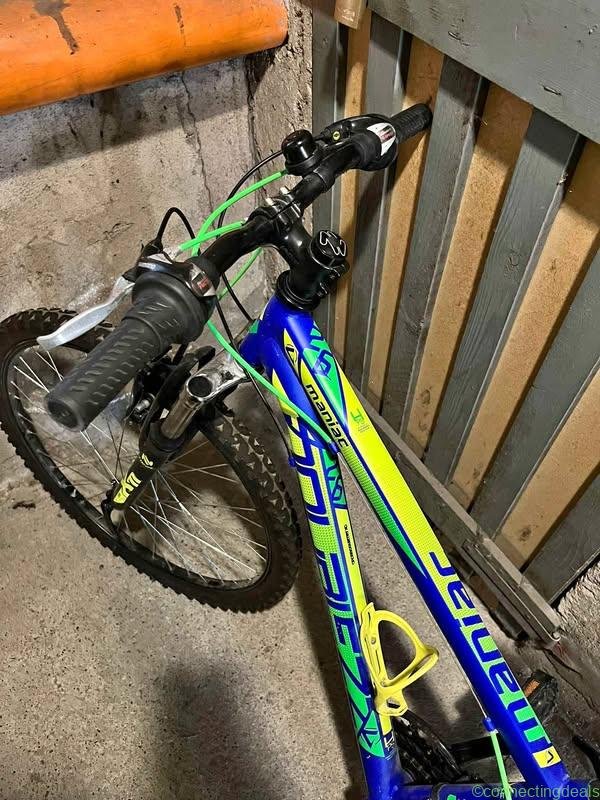 Mountain bike