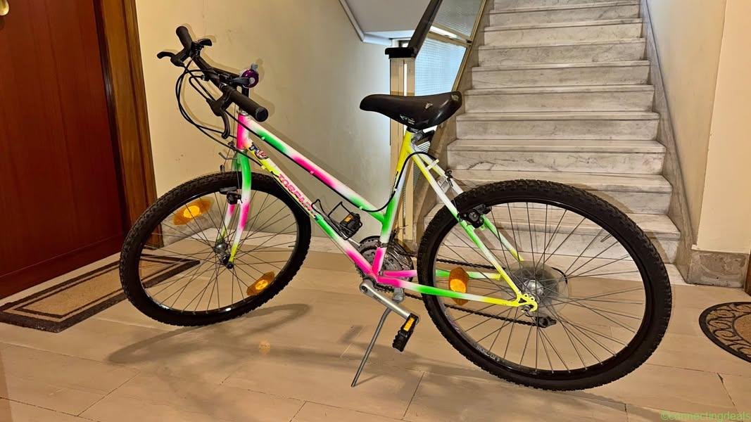 Mountain Bike