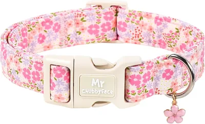 Free ad: MR.CHUBBYFACE Spring Summer Pink Dog Collar Best Deal in United States. MR.CHUBBYFACE Spring Summer Pink Dog Collar Best Deal in United States