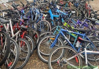 Free ad: Multiple Bikes in Edmonton. Multiple Bikes in Edmonton