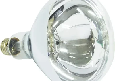 Free ad: Nelson MQ275 Heat Lamp Clear Best Deal in Australia. Nelson MQ275 Heat Lamp Clear Best Deal in Australia