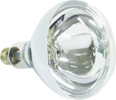 Nelson MQ275 Heat Lamp Clear Best Deal