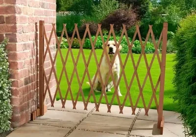 Free ad: New||Freestanding Expanding Wood Trellis Gate, Foldable Wooden Pet Barrier for Garden and Outdoor Us in United Kingdom. New||Freestanding Expanding Wood Trellis Gate, Foldable Wooden Pet Barrier for Garden and Outdoor Us in United Kingdom