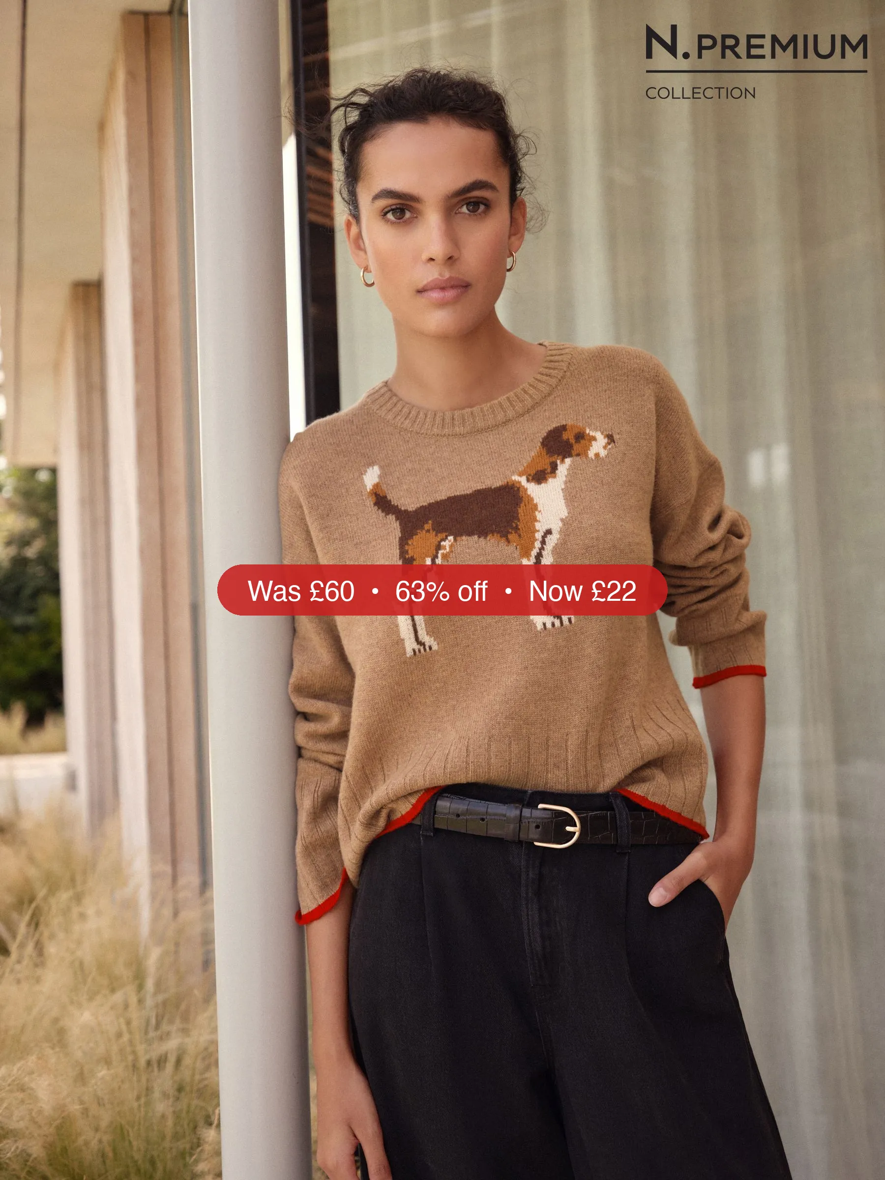 Next Camel Brown Dog Graphic 100% Lambswool N. Premium Crew Neck Jumper – 63% Off
