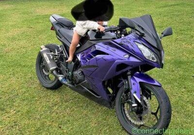 Ninja 300 in Auckland