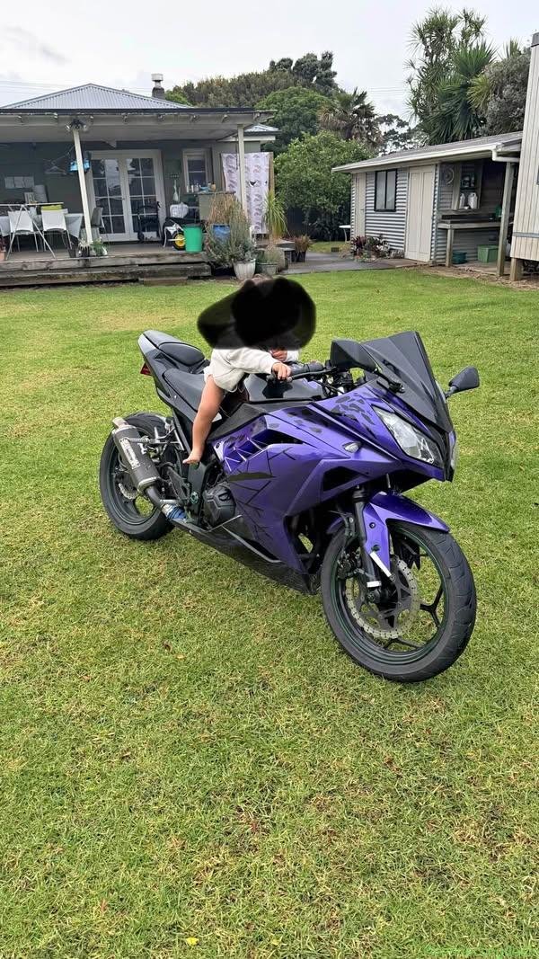 Ninja 300