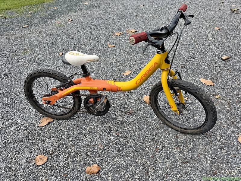Orbea Grow Bike