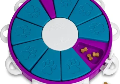 Outward Hound Nina Ottosson Dog Twister Interactive Treat Puzzle Toy, Advanced Best Deal in Singapore