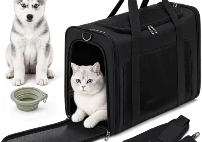 Free ad: PALAMEA Portapiglioli per Gatti 55 x 40 x 23 cm - Grande Trasportino morbido e pieghevole per Gatti e Piccoli Cani fino a 12 kg - Miglior Affare in Italy. PALAMEA Portapiglioli per Gatti 55 x 40 x 23 cm - Grande Trasportino morbido e pieghevole per Gatti e Piccoli Cani fino a 12 kg - Miglior Affare in Italy