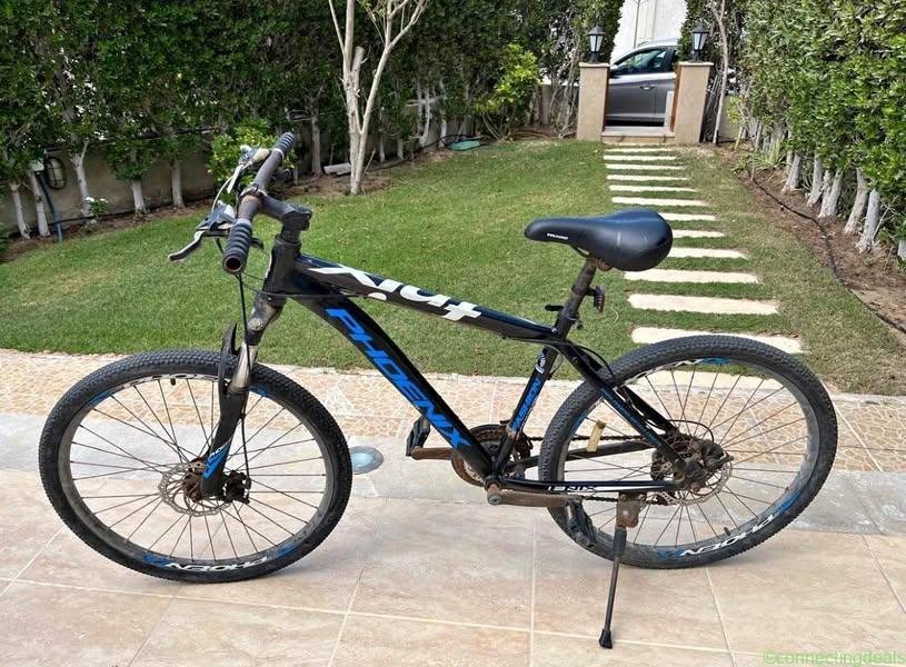 Phonex bicycle