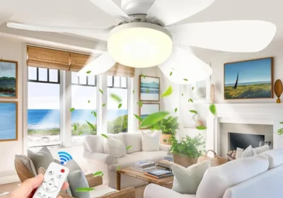 PQETBV Ventilateur de plafond avec lumière et télécommande, 6 pales, 3 vitesses, silencieux, pour salon in France