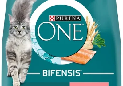 Free ad: Purina One - Aliment sec pour chat adulte stérilisé - Saumon - Sac de 9,5 kg | Meilleur Prix in France. Purina One - Aliment sec pour chat adulte stérilisé - Saumon - Sac de 9,5 kg | Meilleur Prix in France