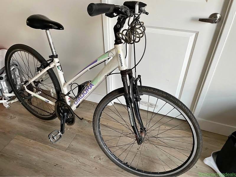 Quick sale for a Diadora bike