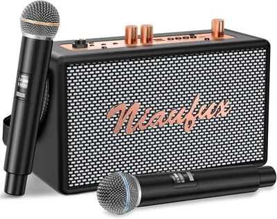 Retro Karaoke Machine Bluetooth Speaker – 2 Mic, PA System