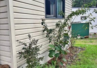 Room for rent in Sydney
