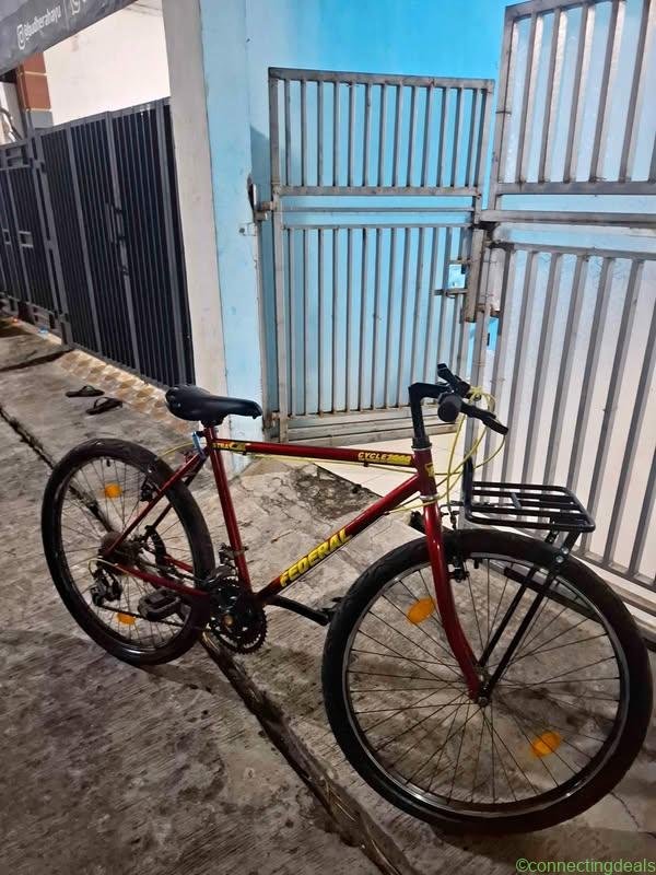Sepeda Federal Commuter Bike