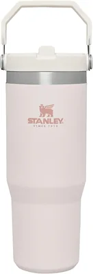 STANLEY IceFlow Flip Straw Tumbler 30oz Best Deal