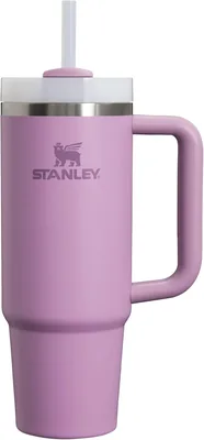 Stanley Quencher H2.0 30 oz Tumbler with Lid Best Deal