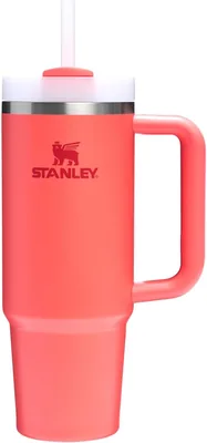 Stanley Quencher H2.0 30 oz Tumbler with Lid Best Deal